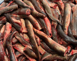 New! Lamprey Sections