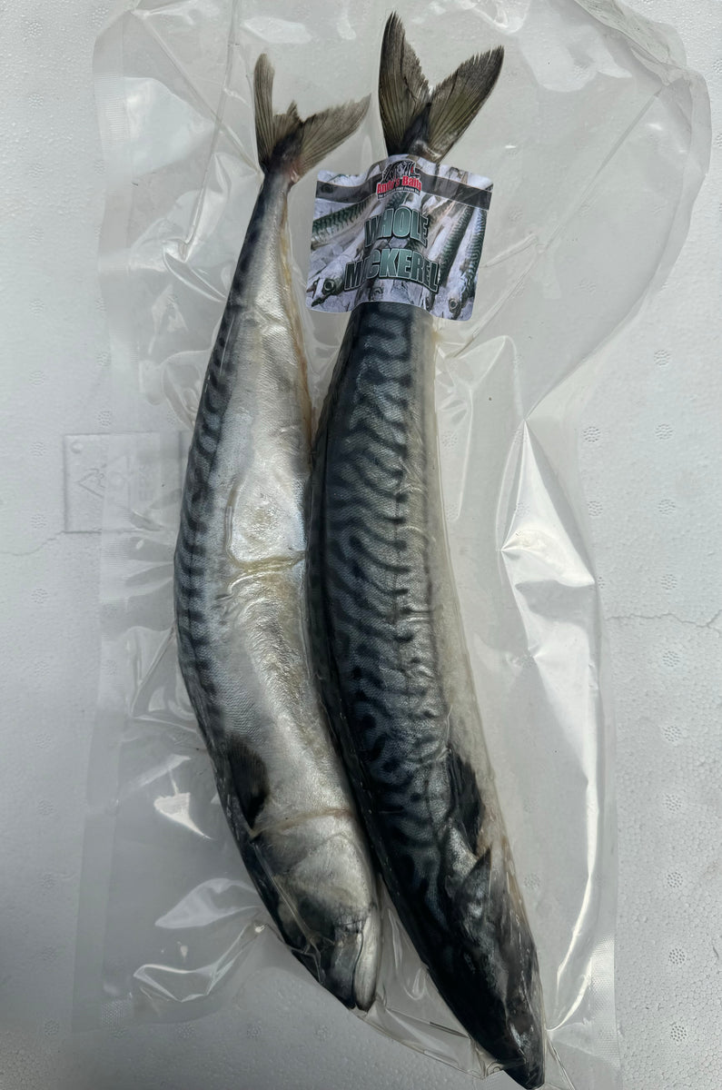 Whole Mackerel XL 2 Per Pack Baits'R'Us