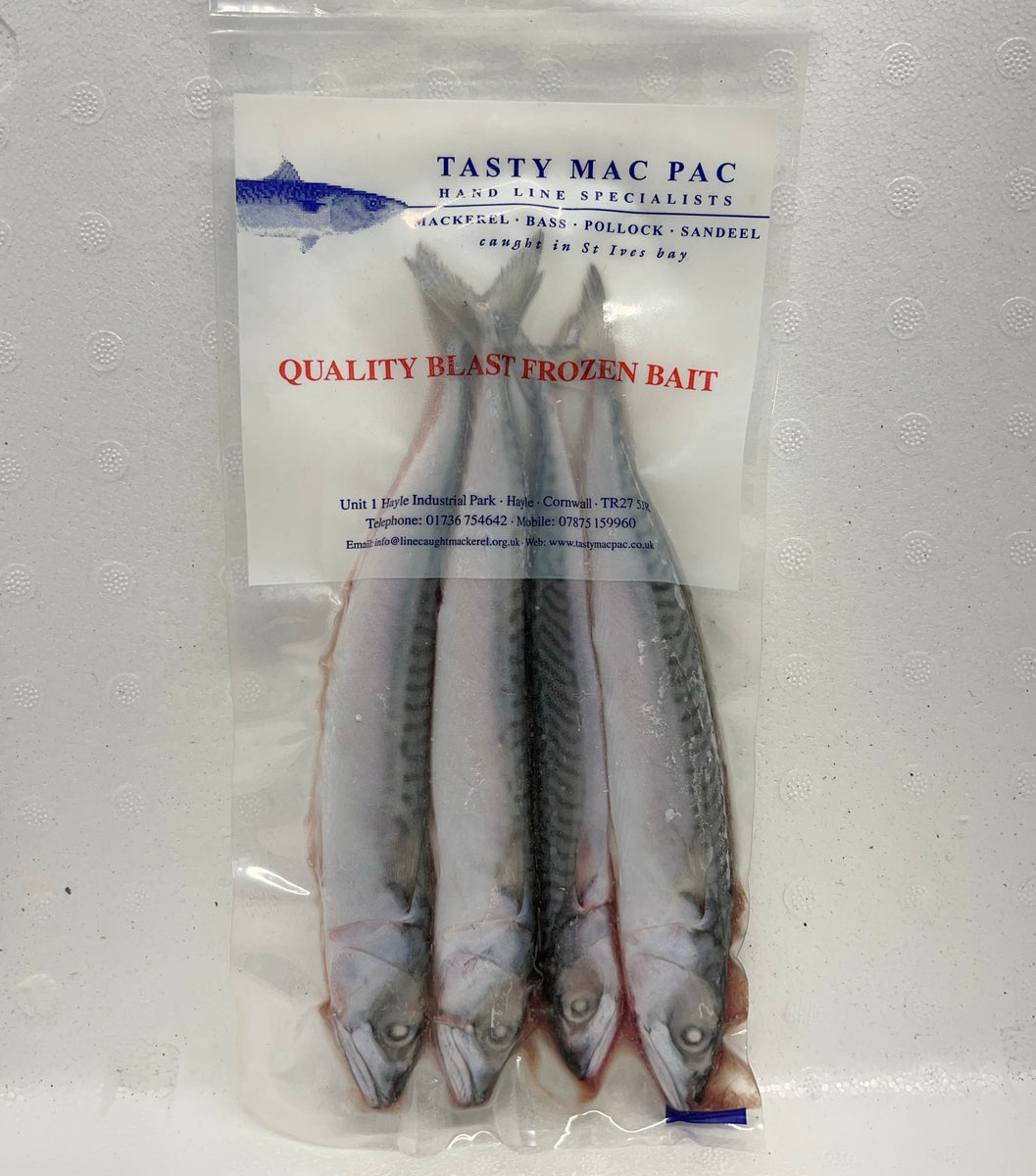 Mini Mackerel (Cornish Caught) - Main Image