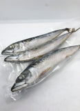 Joey Mackerel (IQF Packed)