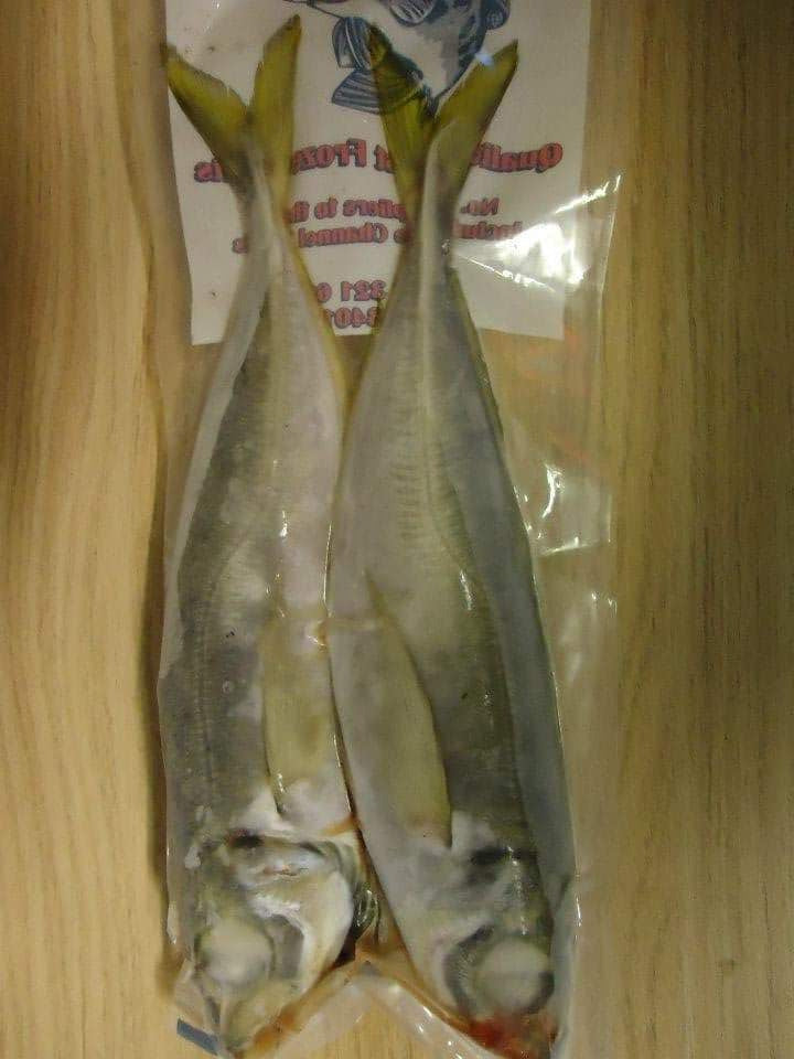 Scads (Horse Mackerel) Large Baits'R'Us