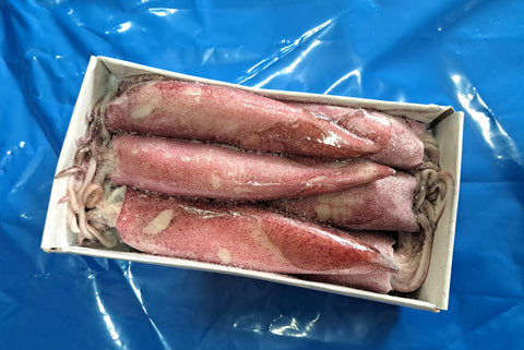 NEW! Royal Star Brand Unwashed 1lb Squid
