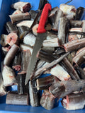 Conger Eel Sections