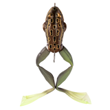 LIVETARGET - Ultimate Frog Stride Bait - Tan/Brown