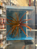 Sea Urchin Lure - 11cm - Orange