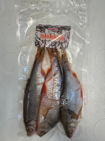 Roach 3 Per Bag Large