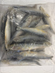 Sardines 1kg bag IQF