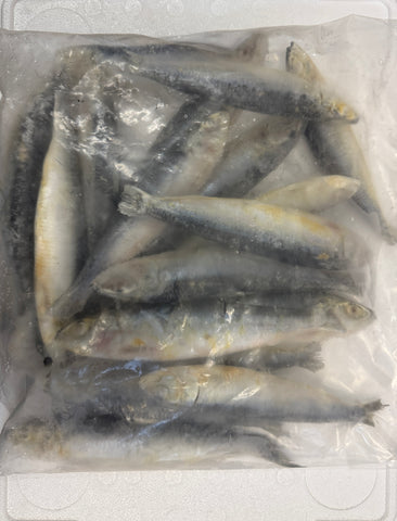 Sardines 1kg bag IQF