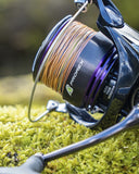 Daiwa 24 Prorex X LT LT3000-CXH Reel