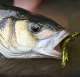 Lazy Lures Squatz - 4cm