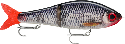 Rapala Super Shadow Rap Glide -  Live Roach - 11cm