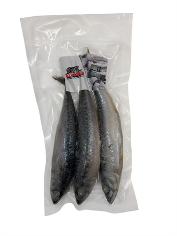 Joey Mackerel (IQF Packed)