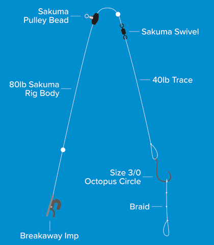 Sakuma Pulley Dongle Rigs