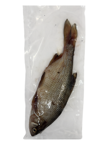XXL Roach Bream Hybrid 1 Per Bag