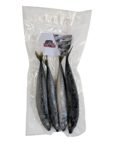 New! Mini Joey Mackerel (IQF Packed) Per Pack - Main Image