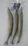 Blueys 3 Per Bag (Pacific Saury)