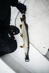 Rapala RCD Roll Ruler (Measure)