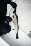 Rapala RCD Roll Ruler (Measure)