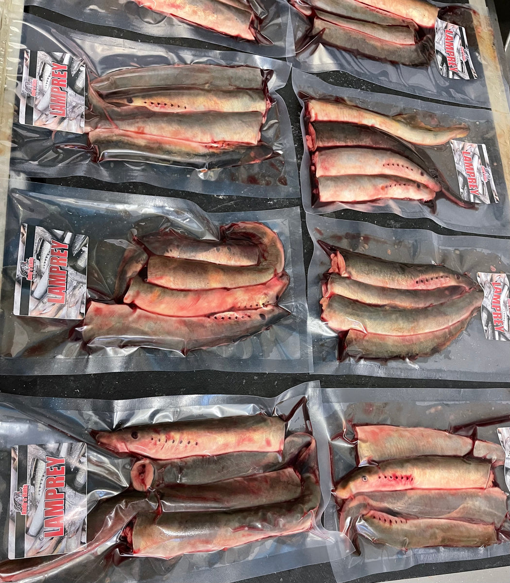 Lamprey Sections – Baits'R'Us