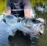 Lazy Lures Squatz - 4cm