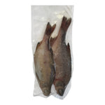 XL Roach Bream Hybrid