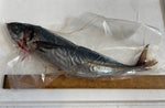 Jumbo Scads (Horse Mackerel) 1 Per Bag