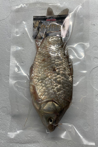 Hybrid F1 Carp - 1 Per Bag