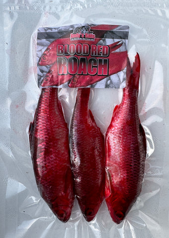 New! Blood Red Roach
