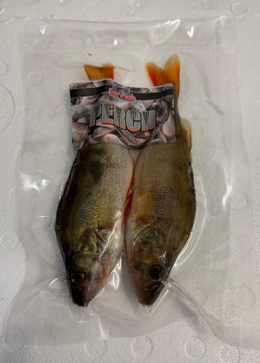 Perch Large – Baits'R'Us