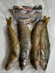 New! Salmon Parr 3-4 Per Bag
