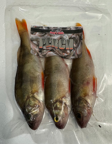 Perch Medium