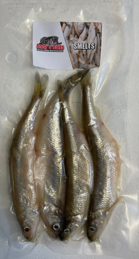 Frozen Bait Sea Bait Near Me DeadBait Frozen Sea Pack Premium