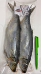 Xtra Large Herrings 2 Per Bag