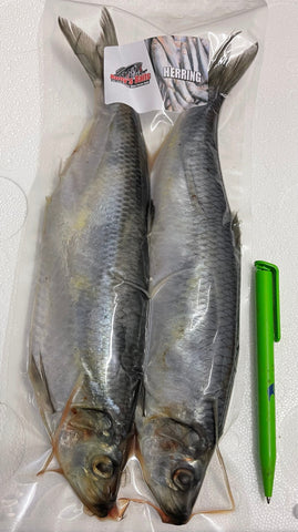 Xtra Large Herrings 2 Per Bag