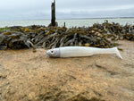 Drift Shad - Silver