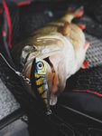 Rapala Rippin' Rap - Firetiger