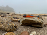 Drift Shoal Shad - Blue/Orange
