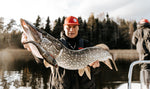 Rapala X-Rap Peto - Live Rainbow Trout - 14 cm