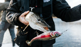 Rapala X-Rap Peto - Live Rainbow Trout