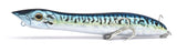 Xorus Patchinko 140 - Blue Mackerel (New 2026 Colour)