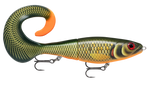 Rapala X-Rap Otus -  Scaled Roach - 25cm