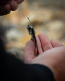 Fox Rage Ultra Natural Roach Fillets