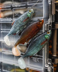 Westin Ricky The Roach Shadtail R2F - Clear Roach - 57g 14cm - LE