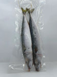 Whole Mackerel 2 Per Bag ( Cornish Caught) x40 Bags
