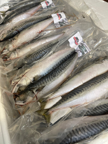 Whole Mackerel 2 Per Bag ( Cornish Caught) x40 Bags