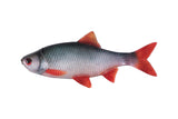 Fox Rage Ultra Natural Roach Fillets