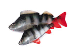 Fox Rage Ultra Natural Perch Fillets