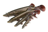 Fox Rage Ultra-Realistic Pike Replicant
