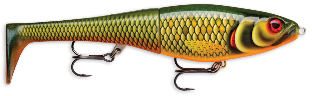 Rapala X-Rap Peto - Scaled Roach – Baits'R'Us