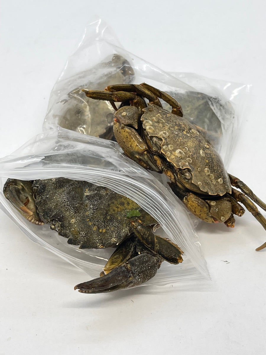 Frozen Peeler Crabs Baits'R'Us